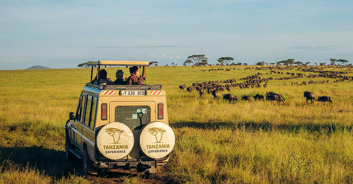 4WD Cruiser in Serengeti National Park - Wakanda Safaris