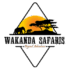 WS LOGO