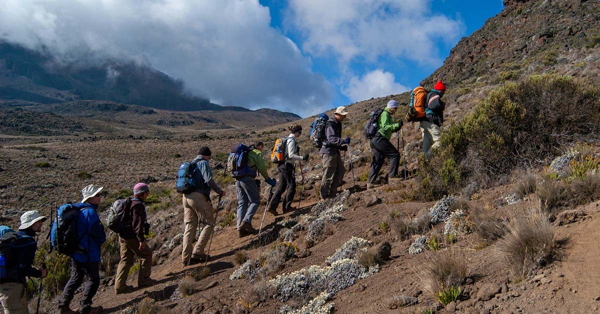 Hikers - Climbing Mt. Kilimanjaro